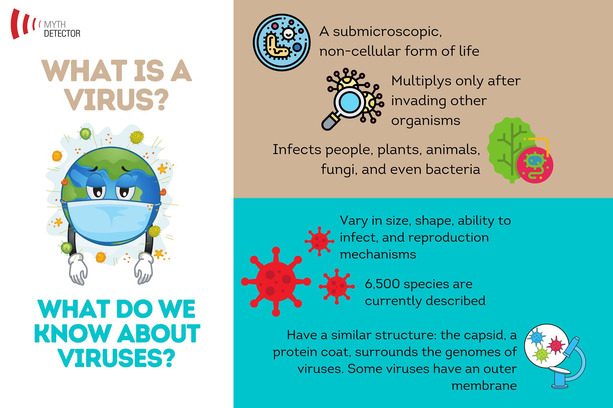 What do we know about viruses?
