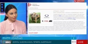 mithebis deteqtori tv pirvelis g 6 Myth Detector in the program "Sakmiani Dila" of TV Pirveli; 26.12.2016