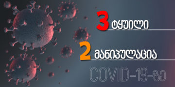 tseph 0 1 Three Lies and Two Manipulations about COVID-19 Spread in Facebook Group “Let’s Stop 5G in Georgia”