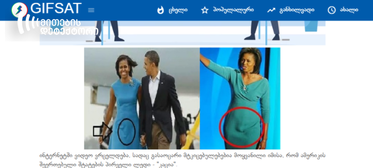 Michelle Obama Sex Porn - How Michelle Obama's dress became a source for conspiracies? -  mythdetector.ge