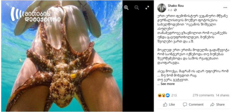 Octopus Inside Pussy