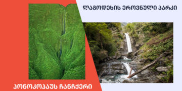 qhalbi realuri 6 Is It Possible to Find Honokohau Falls in Lagodekhi Nature Reserve?