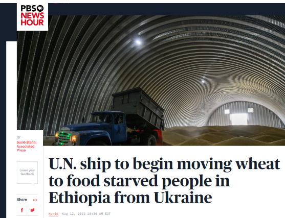 Screenshot 6 5 Did the Ship Loaded with Grain Depart from Ukraine to Africa?