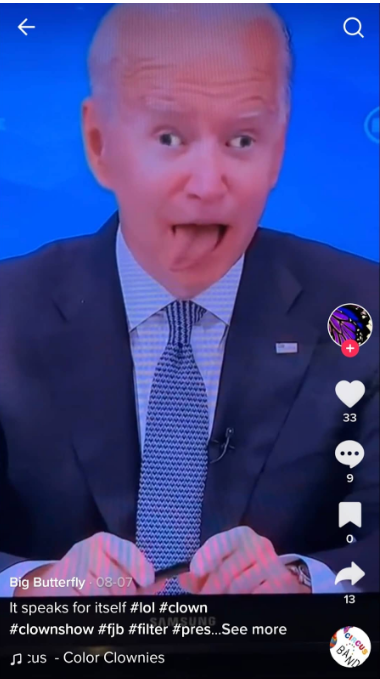 Screenshot 12 3 სერბეთის პრეზიდენტის Snapchat ეფექტით შეცვლილი ვიდეო რეალურ კადრებად ვრცელდება