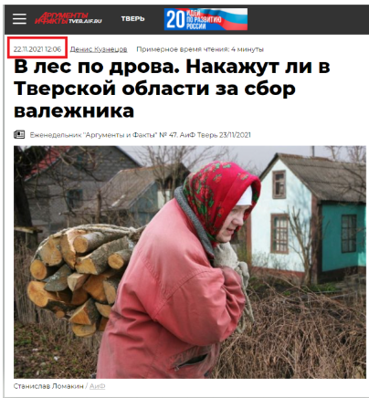 Screenshot 24 German or Russian Granny? Who Collects Wood for the Cold Winter?