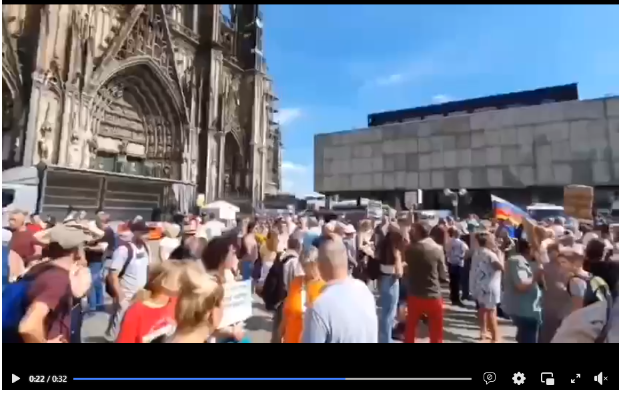 Screenshot 3 4 Немцы или русская диаспора - кто провел пророссийский митинг в Германии?