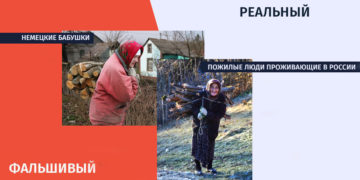 dasx Немецкая или русская бабушка, кто собирает дрова на холодную зиму?