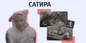 satira ghorebi ru Утверждение, что якобы в Великобритании 1200 фунтов платят за посещение «спа для свиней», основано на сатирическом видео