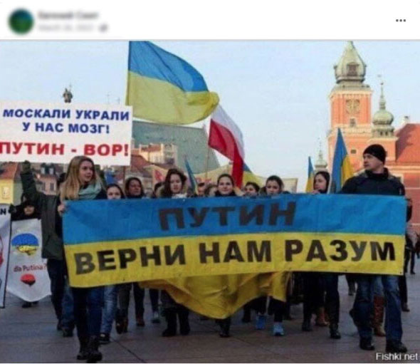 puginis goneba5 Обращение к Путину или поддержка Украины – что написано на самом деле на распространенном плакате?