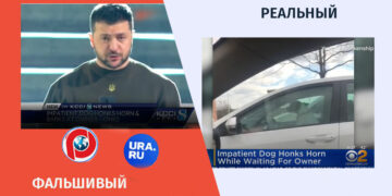 qhalbi realuri 1 Pravda.ru и Ura.ru распространяют фейковое видео о Зеленском
