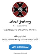 Screenshot 7 4 What Do We Know about the Georgian Fascist Organization “Georgian National Squadron” That Seeks to Recruit Youngsters for Civil Defense