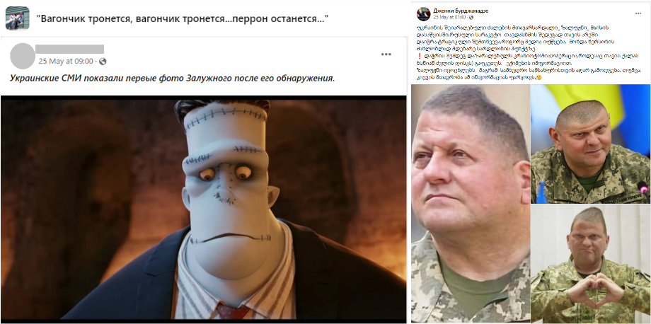 Screenshot 12 Valerii Zaluzhnyi or a Ukrainian Blogger - Who does the Video Depict?