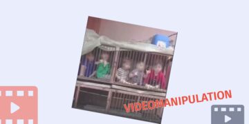 The Viral Video Showing Children in a Cage is NOT RELATED to the Israel Hamas War The Viral Video Showing Children in a Cage is NOT RELATED to the Israel-Hamas War