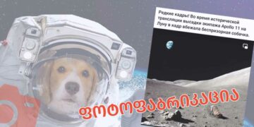 iqho thu ara dzaghli mthvareze apolo 11 is misiisas იყო თუ არა ძაღლი მთვარეზე აპოლო 11-ის მისიისას?