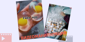 khelovnuri kvertskhi Искусственное яйцо или детская игрушка? - видео распространяется без контекста
